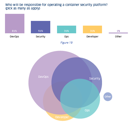 who will be responsible for operating a container security platform?